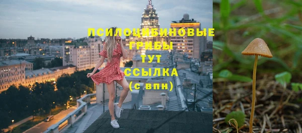 СК Касимов