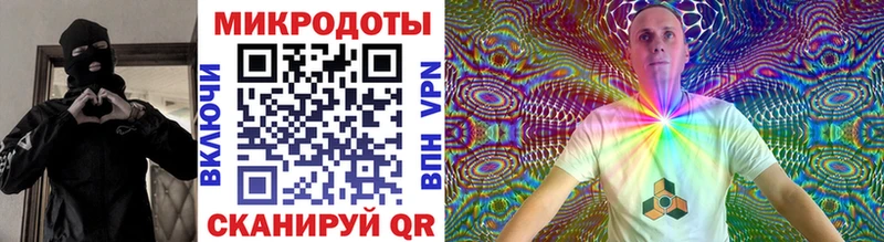 Купить  Котово  Псилоцибиновые грибы Cubensis 